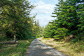 Whinlatter Forest